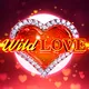 Winner game image